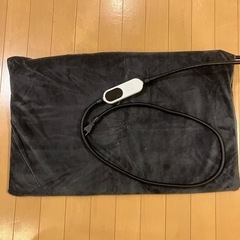 ペットカーペット　ペット　家具　家電