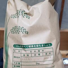 2023収穫 玄米 古米 5kg コシヒカリ