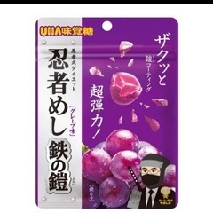 忍者めしグミ鉄の鎧2袋賞味期限2025.5