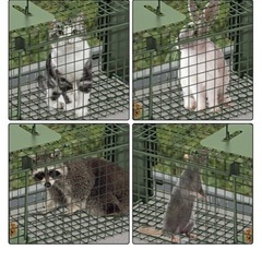 新品　捕獲器
の画像