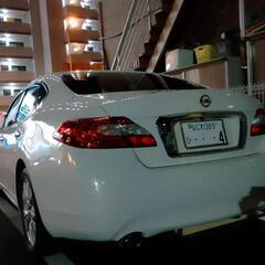 Y51フーガの画像