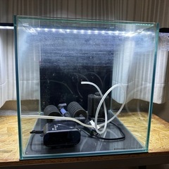 30cmキューブ水槽