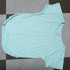 Tシャツの画像