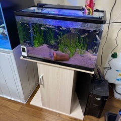 水槽セット　取引中