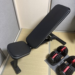 可変式ダンベルとベンチの画像