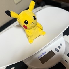 ベビザラス　
ベビースケールの画像