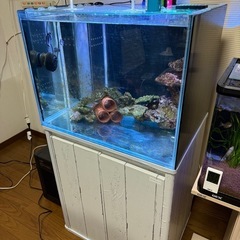 水槽セット　取引中