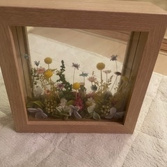 未使用ドライフラワーフレームの画像