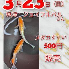 3／23(日)9:30〜16:00　焼津ジョイフルパルさん　よっ...