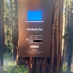 【3/9最終値下げ！
】MacBook Pro 14インチApple M1