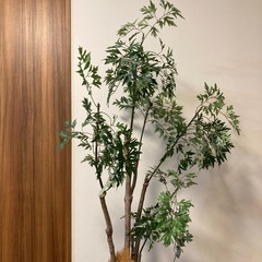 観葉植物（人工）