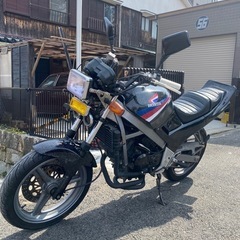 VTZ250！乗って帰れます！カスタム多数！の画像
