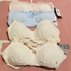 アメリカンイーグル　AERIE ナイトブラ (2点+2点)