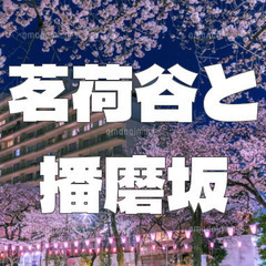 茗荷谷の裏路地と坂を楽しむ夜散歩。釈迦坂、播磨坂、御殿坂など