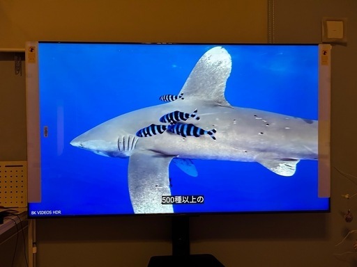 Hisense 75U8K 75インチ 4K Mini LED 液晶テレビ
