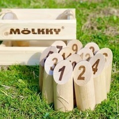 3/17（月）19時〜21時モルックやります😁