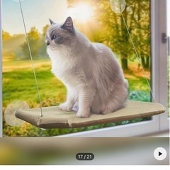 猫用ベッド の画像