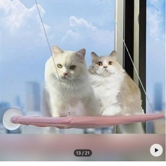 猫用ベッド 