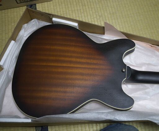 PLAYTECH ( プレイテック ) / SA20 Sunburst