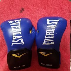 ボクシング　グローブ　エバーラスト　Everlast