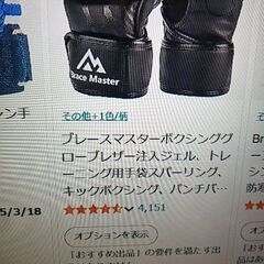 ブレース　マスター　 ボクシング　グローブ MMAの画像