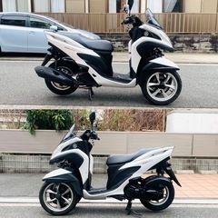 トリシティ125 側車付き軽二輪仕様車^_^普通自動車免許！タイムSALEの画像