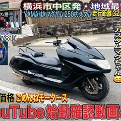ヤマハマグザム250 艶ピカカスタムマグちゃん^_^♪
