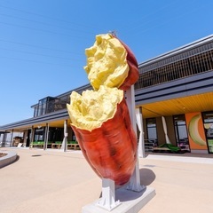 🔹道の駅常総🍠