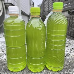 メダカ　無人販売　めだか縁　ゾウリムシ　メチレンブルー水溶液　青水の画像