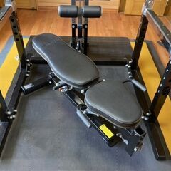 状態良好 パワーテック/POWERTEC  パワーラック+アジャスタブルベンチ+ラットタワー ご自宅で高機能なホームジムに 手渡し希望/自社配送可能（配送エリアについてお問い合わせください）の画像