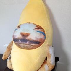 ねこミームぬいぐるみの画像