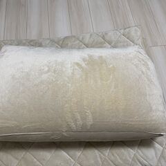 【新品同様】こたつ布団 ごろ寝 一人用 ごろ寝 クッション付 ベージュ 70×170cmの画像