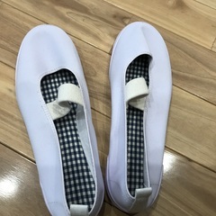 上履き(未使用)の画像