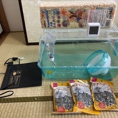 ハムスターキット　床材11本付