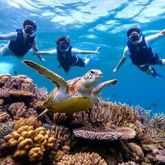 【石垣島/寮有】アウトドアガイド　人気の島の綺麗な海で働こう！の画像