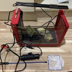 水槽セットの画像