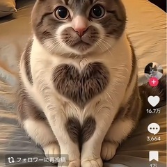 お米30キロ安く譲って下さい