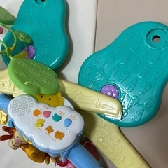 プーメリーの画像