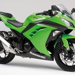 Ninja250 シングルシートカウル  カバー バイクの画像