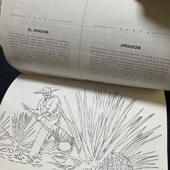 海外ぬりえ（子供〜大人）メキシコ🇲🇽 スペイン語　語学勉強の画像