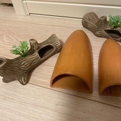 プレコなどの隠れ家セットの画像