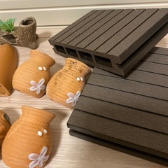 プレコなどの隠れ家セットの画像