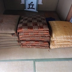 座布団たくさん！　差し上げます。