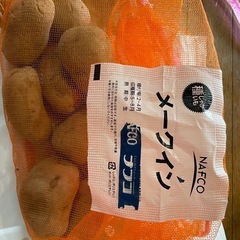種芋　メークイーン
