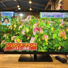 【愛品館八千代店】東芝　2016年製　ハイビジョン液晶テレビ　3...