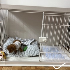 ペットゲージ　サークル　アイリスオーヤマの画像