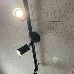 スポットライト