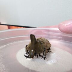 趣味の合う友達募集です。 - 友達