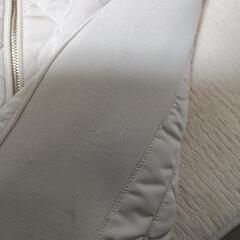 ZARAブルゾンの画像