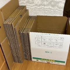 ダンボールの画像